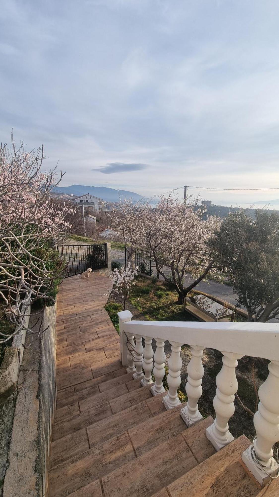Apartman Pogled Na More 센 외부 사진
